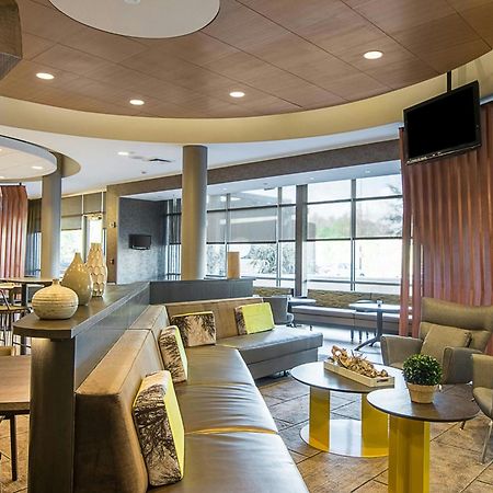 Springhill Suites Tampa North/Tampa Palms Eksteriør billede