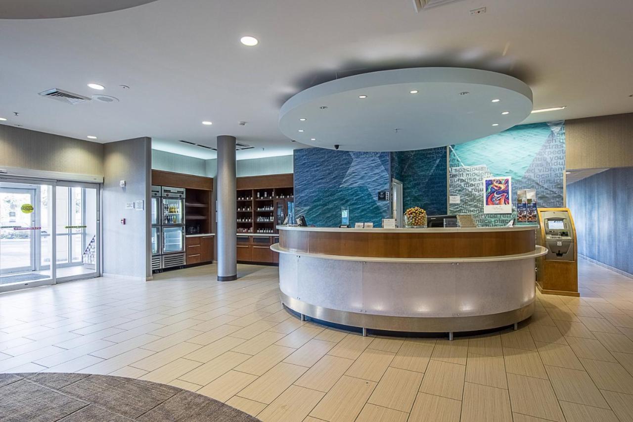 Springhill Suites Tampa North/Tampa Palms Eksteriør billede