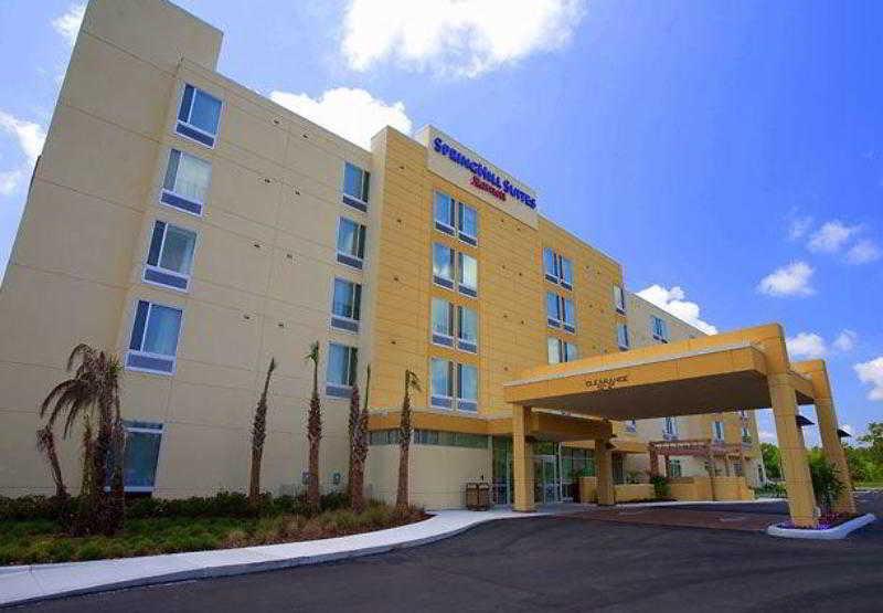 Springhill Suites Tampa North/Tampa Palms Eksteriør billede