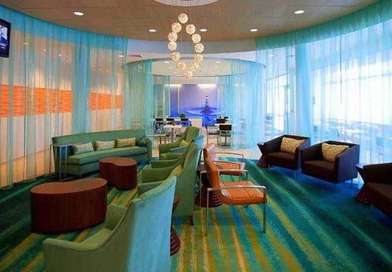 Springhill Suites Tampa North/Tampa Palms Interiør billede