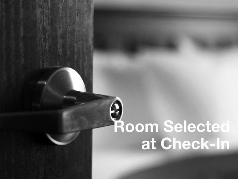 Springhill Suites Tampa North/Tampa Palms Eksteriør billede