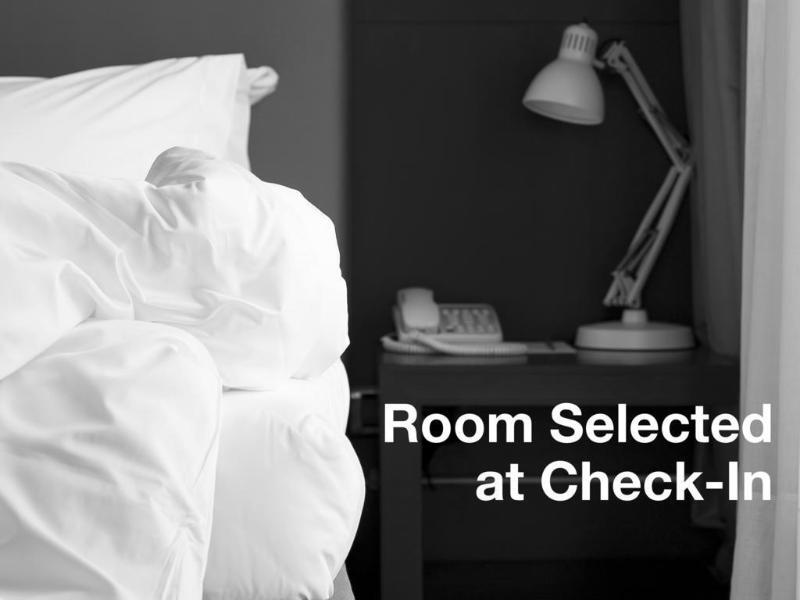 Springhill Suites Tampa North/Tampa Palms Eksteriør billede